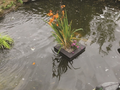 Floating Planter Square 25cm